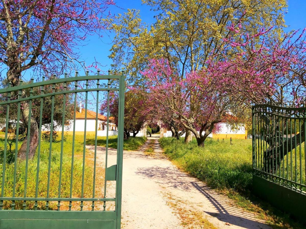 Casas Herdade Do Convento Da Serra Almeirim Ngoại thất bức ảnh