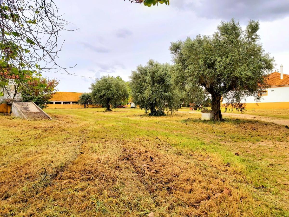 Casas Herdade Do Convento Da Serra Almeirim Ngoại thất bức ảnh