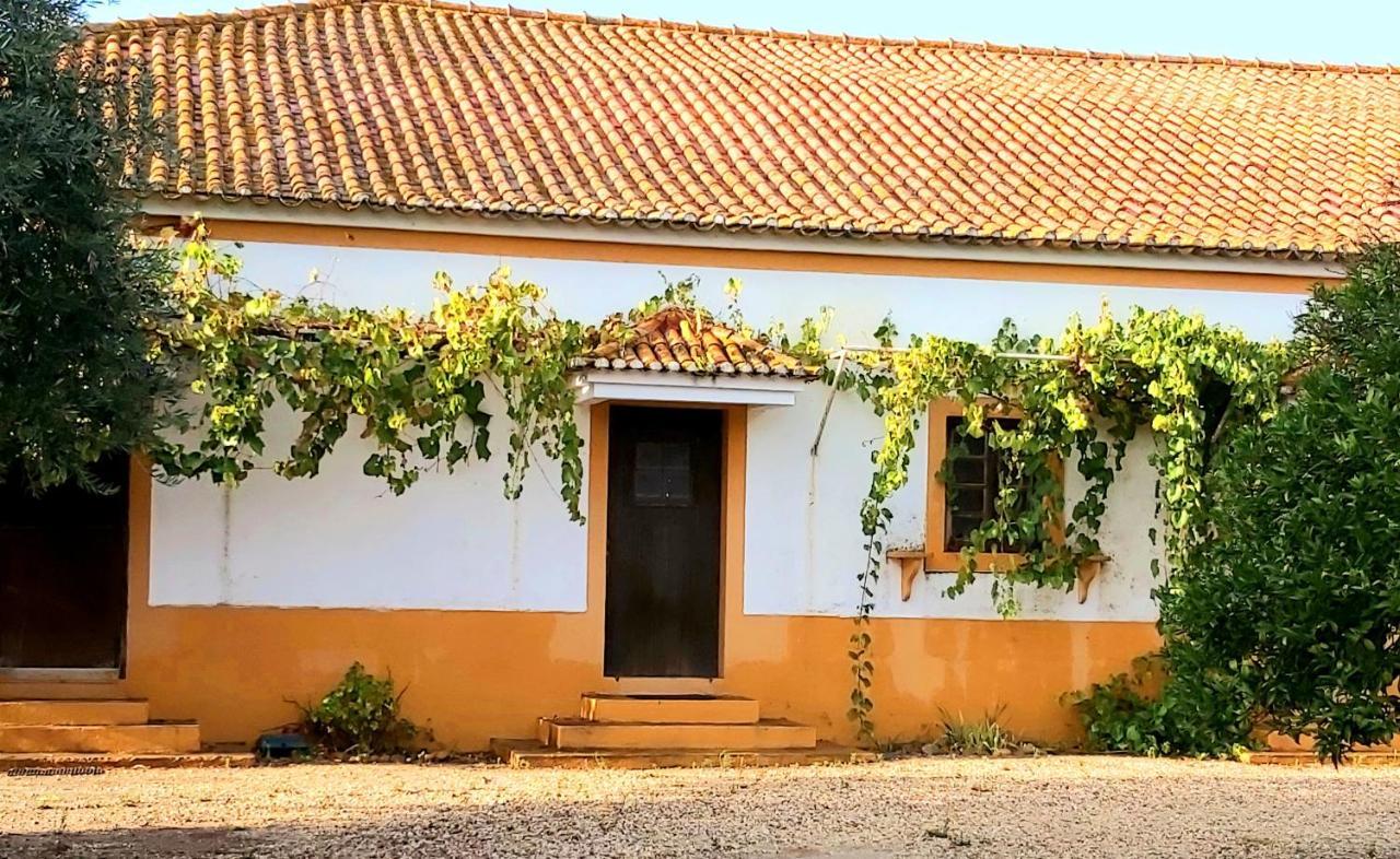 Casas Herdade Do Convento Da Serra Almeirim Ngoại thất bức ảnh