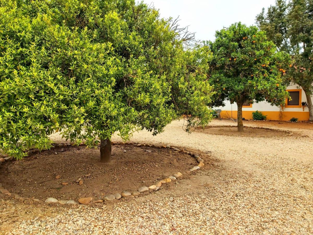 Casas Herdade Do Convento Da Serra Almeirim Ngoại thất bức ảnh