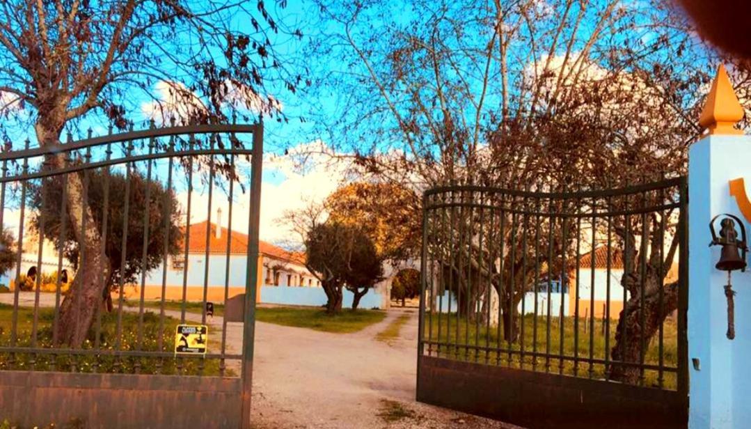 Casas Herdade Do Convento Da Serra Almeirim Ngoại thất bức ảnh