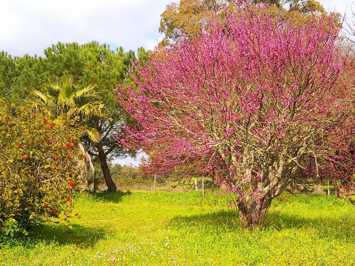 Casas Herdade Do Convento Da Serra Almeirim Ngoại thất bức ảnh
