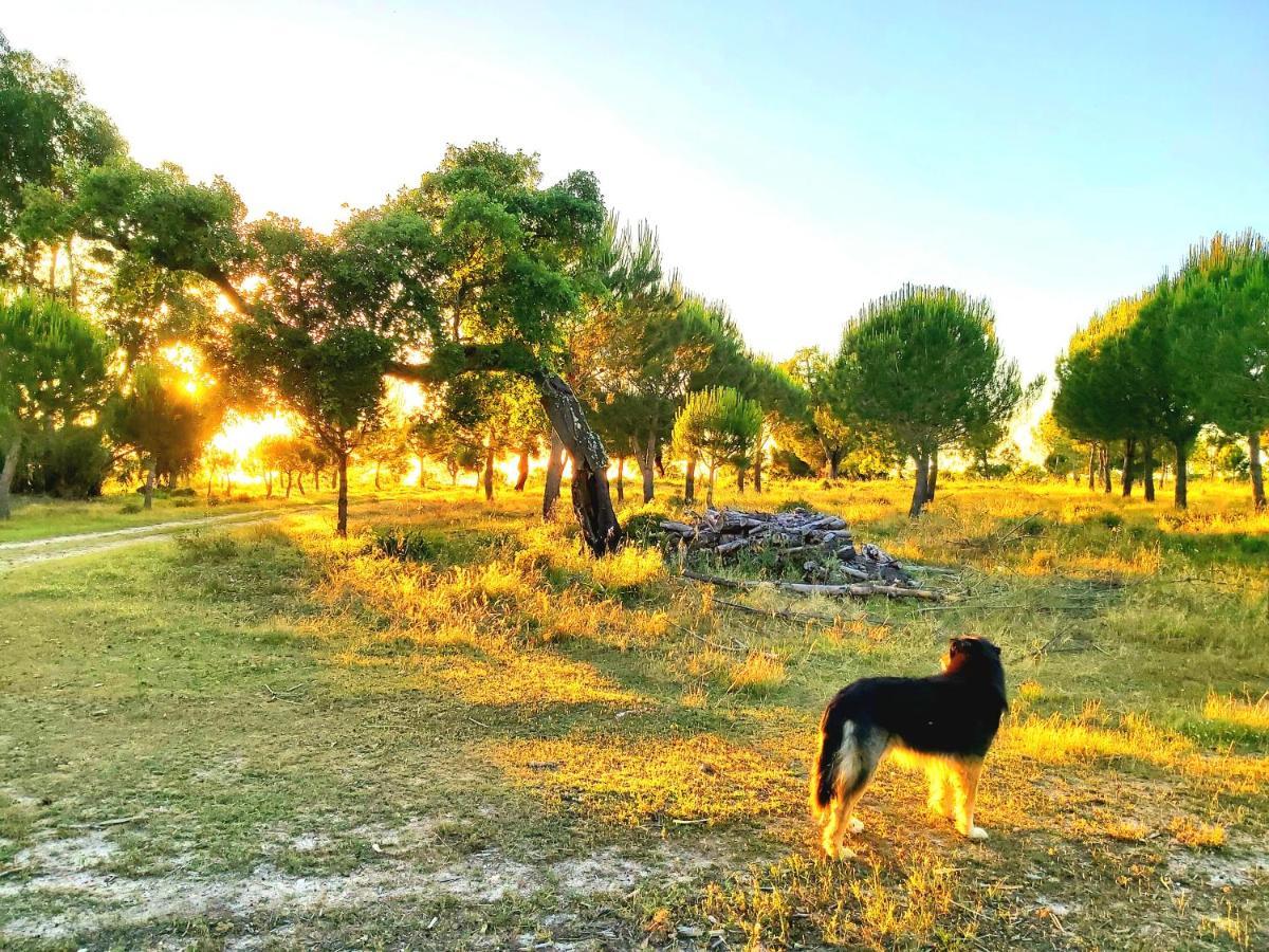 Casas Herdade Do Convento Da Serra Almeirim Ngoại thất bức ảnh